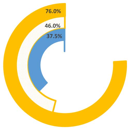 A piechart showing the 2025 English language acquisition goal, the 2020 goal, the current performance and former year's performance.