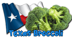 Texas Flag and Broccoli