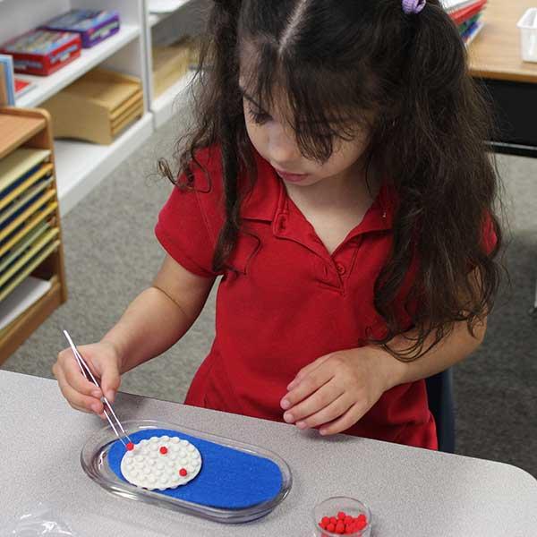 Young girl using tweezers for science activity.