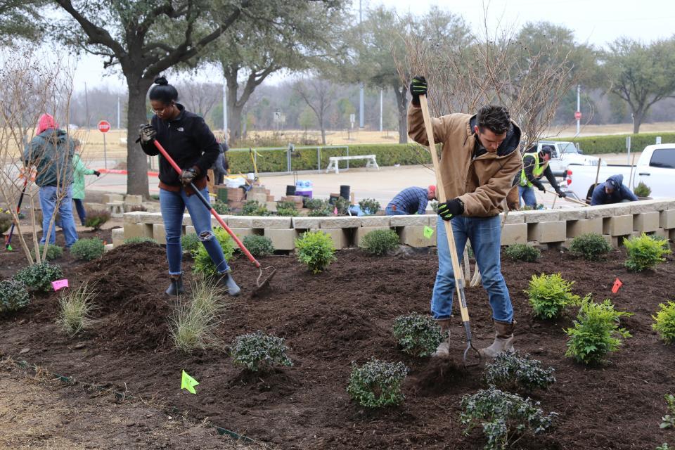 Students tending a garden