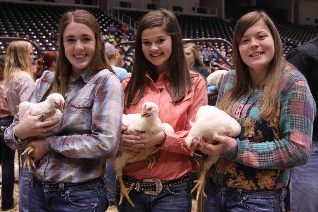 Three girls at an agriculture fair holding chickens.