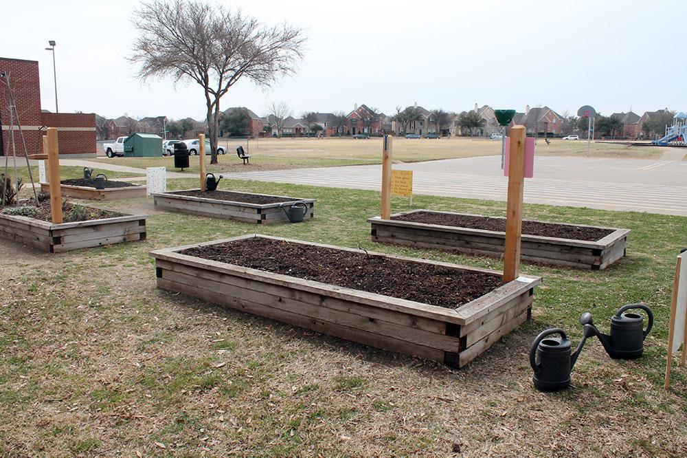 A service project garden