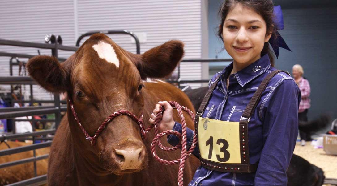 A girl at a FFA competition next to her cow