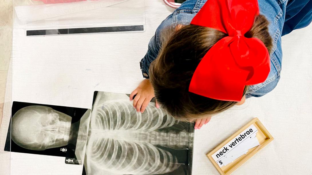 A girl in Montessori using an X-ray set and assigning word sets to each part.