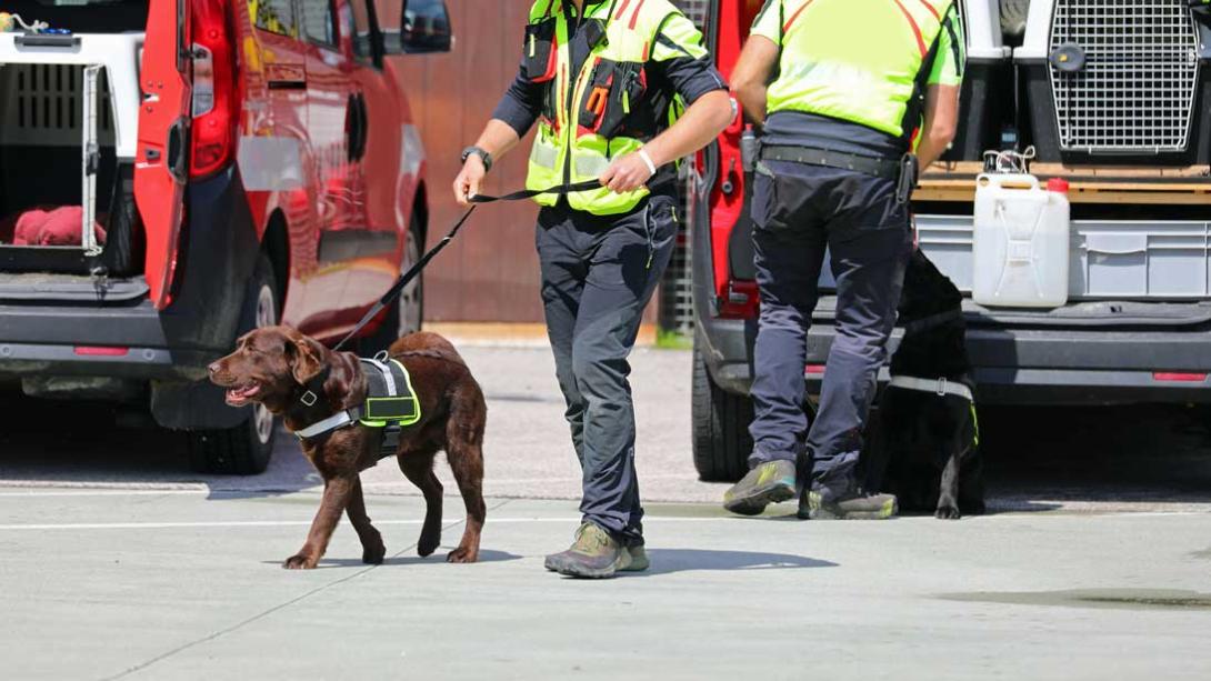 Police officer walking dog during canine training