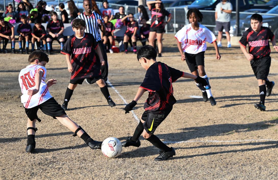 Young kids kick a soccer ball during a game